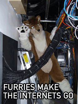 Furries On the internet