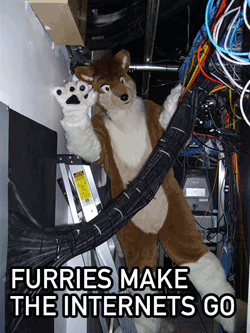 Hello! Furries On the internet