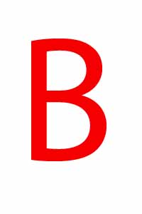 B image